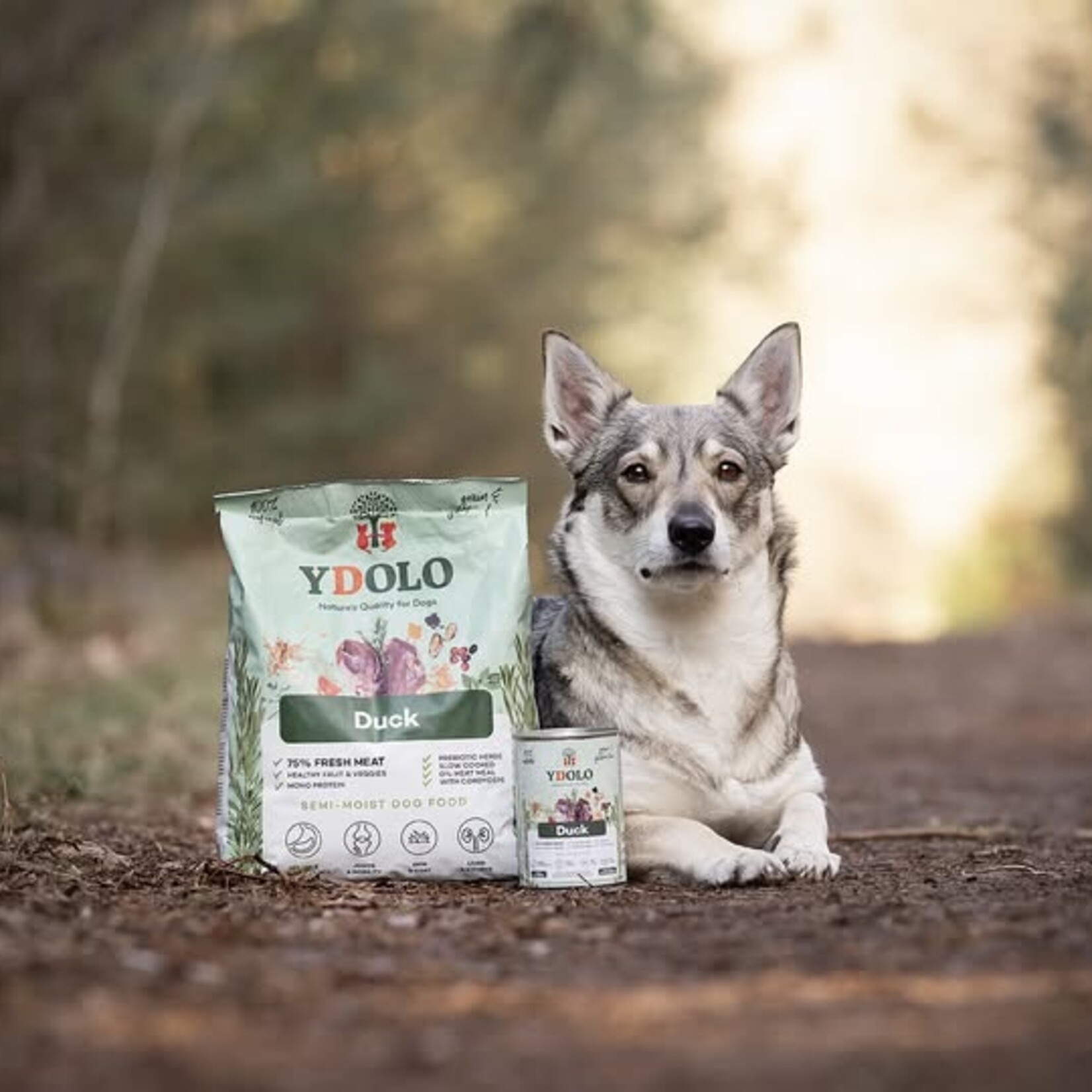 YDOLO YDOLO Healthy & Pure Duck 2.5kg