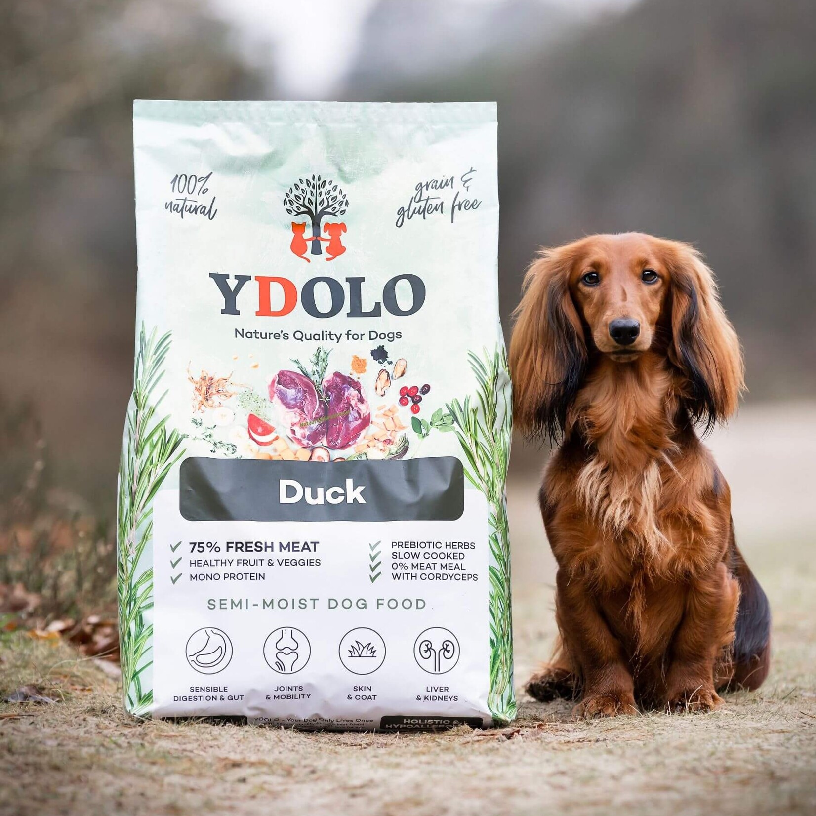 YDOLO YDOLO Healthy & Pure Duck 2.5kg