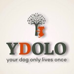 YDOLO
