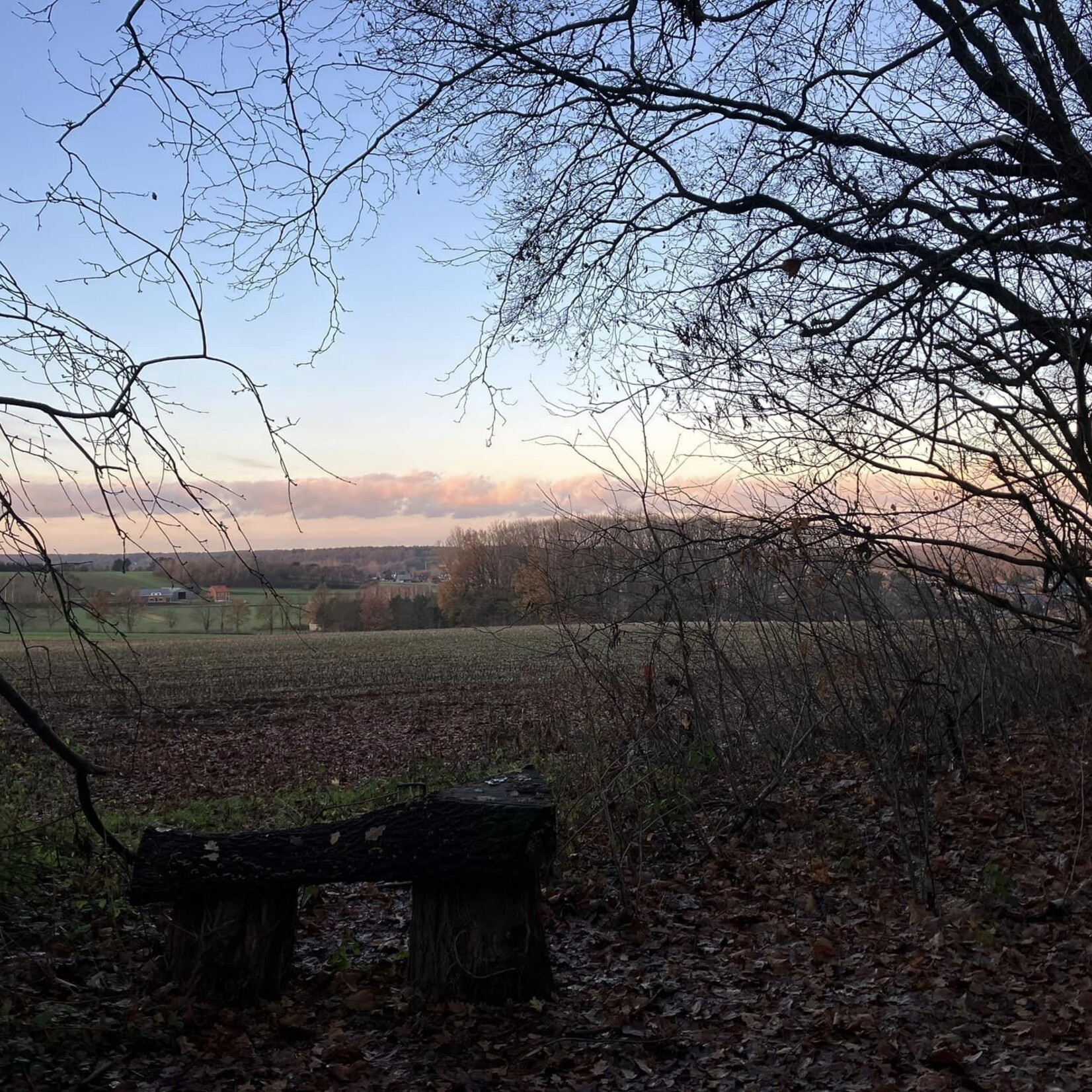 De Link 5e Cani-trail / cani-walk "Follow Fellow" 18/01/2026