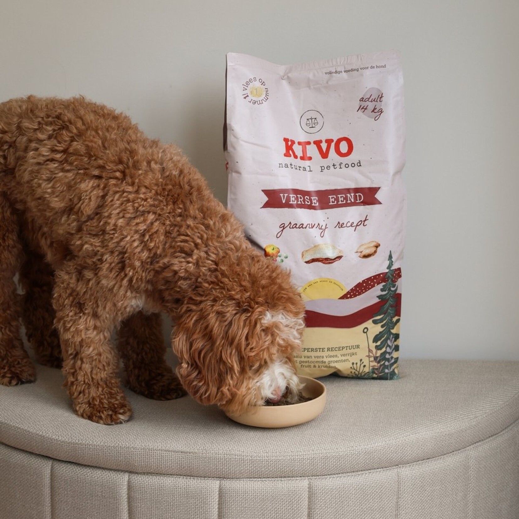 Kivo Kivo Verse eend