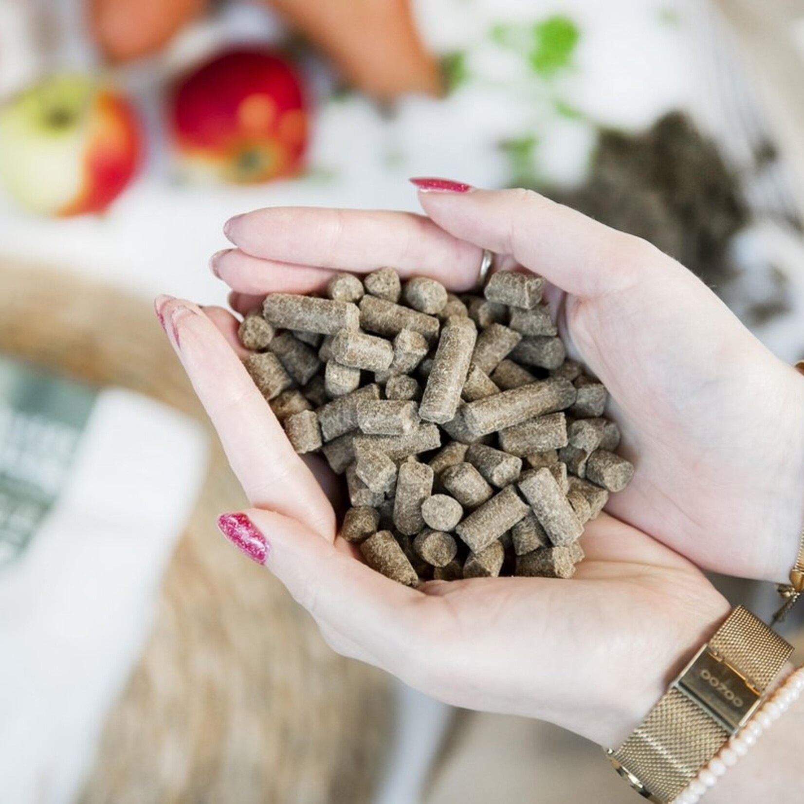 Kivo Kivo Verse eend