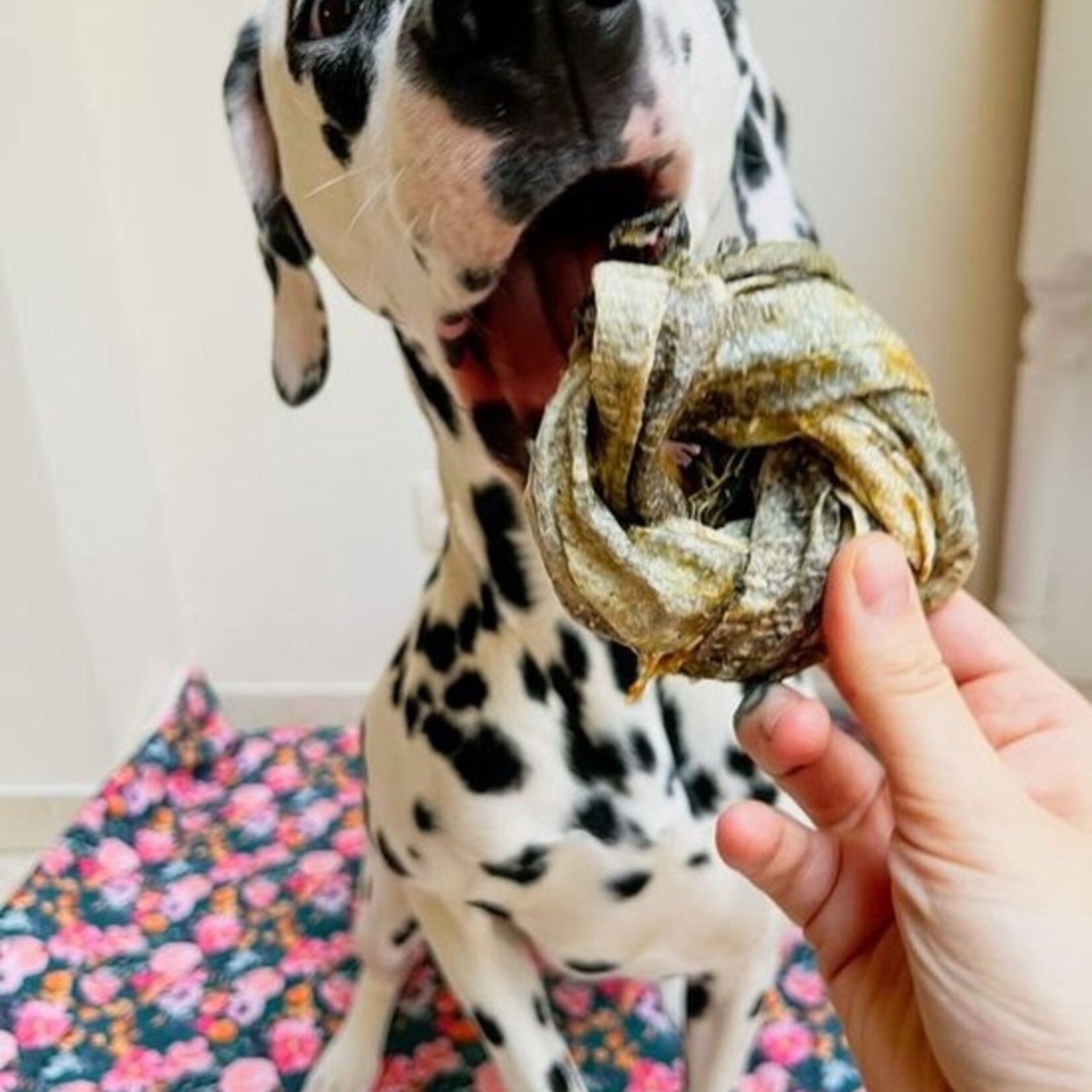 Kivo Kivo Kabeljauw donut 150gram