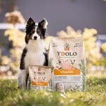 YDOLO YDOLO Healthy & Pure Wild Chicken 10kg