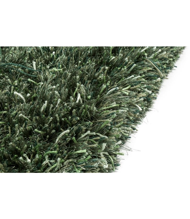 Brinker Carpets Vloerkleed New Paulo Dark Green 442
