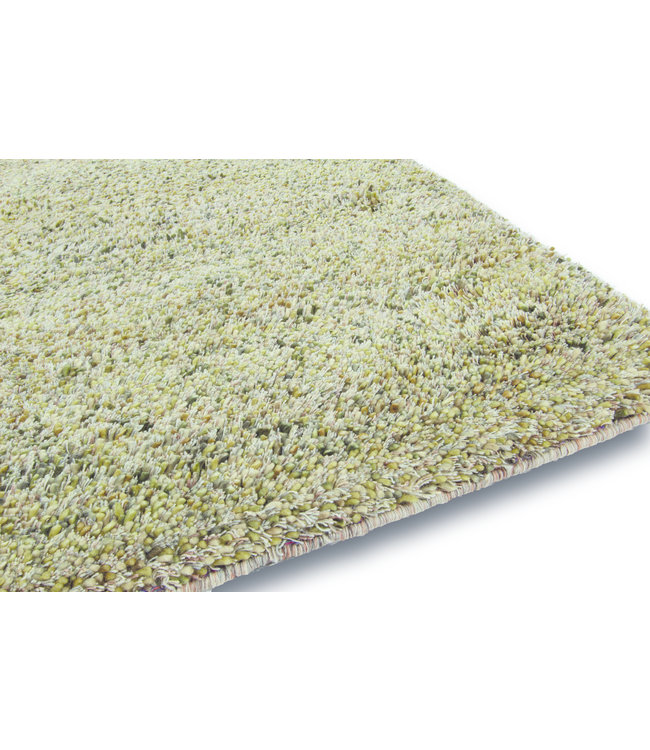 Brinker Carpets Vloerkleed Salsa Forest green 012