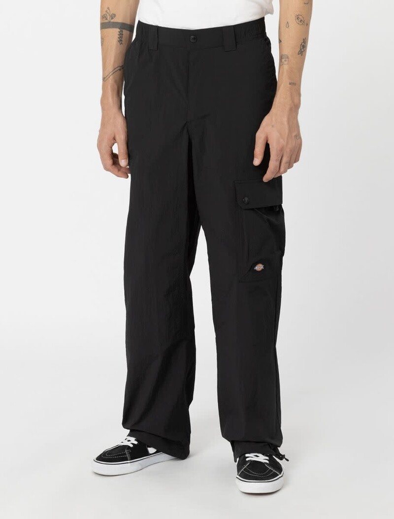 Dickies DICKIES jackson cargo - black