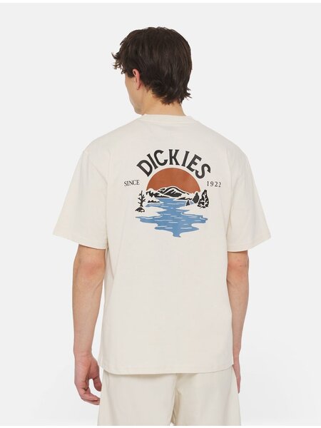 Dickies DICKIES beach tee - whitecap gray