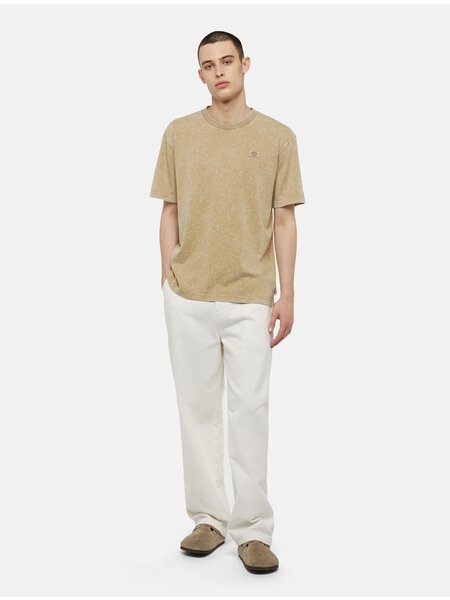 Dickies DICKIES newington tee - dye/acd