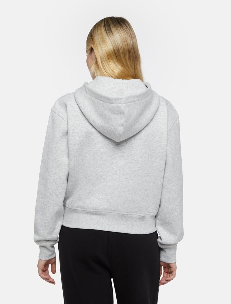 Dickies DICKIES oakport 1/4 zip hoodie - grey