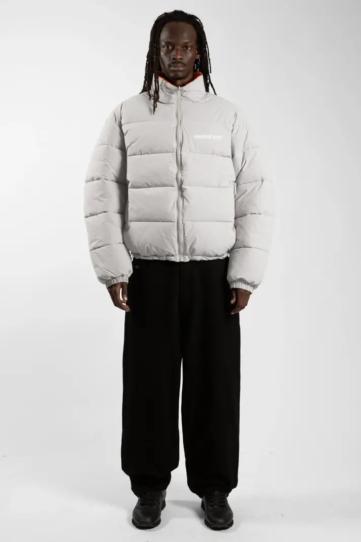 WASTED PARIS WASTED PARIS pulse puffer jacket - silver