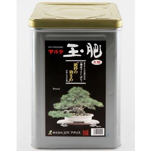 Bonsai Maruta Tamahi large grain - 8 kg