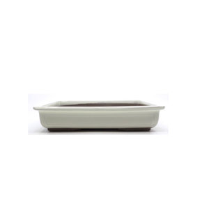Bonsai pot creme rectangle 30cm
