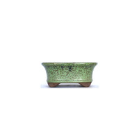 Bonsai pot green with spots  oval 16cm