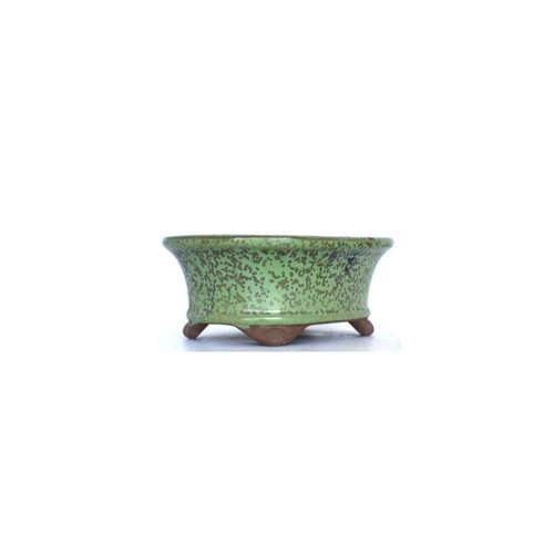 Bonsai pot green with spots  oval 16cm