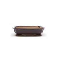 Bonsai pot rechthoek puce 25cm