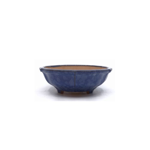 Bonsai pot blue lotus 18cm