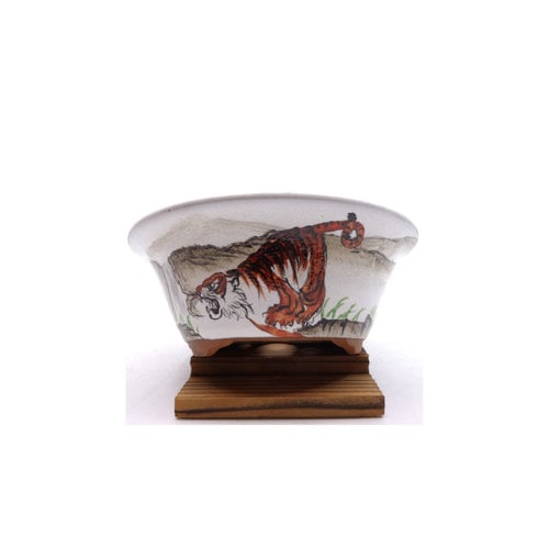 Bonsai pot hand painted tiger 16cm