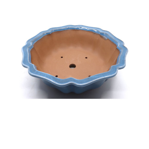 Bonsai pot light blue lotus 27cm