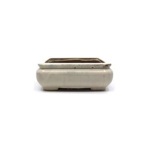 Bonsai pot beige rectangular with rounded corners 20cm
