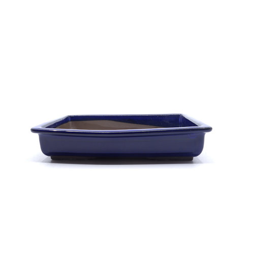 Bonsai pot blue rectangular 35cm