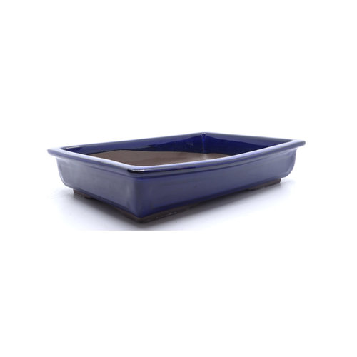 Bonsai pot blue rectangular 35cm