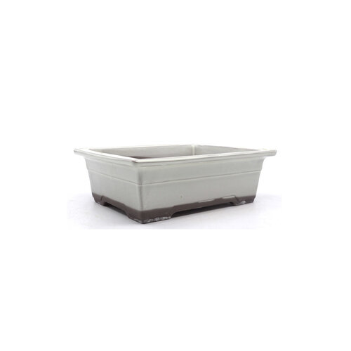 Bonsai pot creme rectangular 22cm