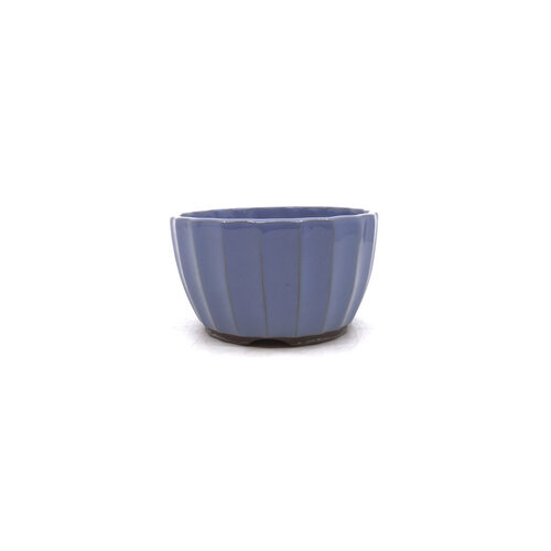 Bonsai pot licht blauw chrysanten 12cm