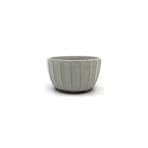 Bonsai pot white chrysanthemum 12cm