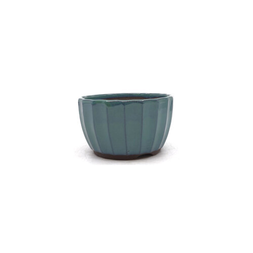 Bonsai pot groen chrysanten 12cm