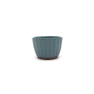 Shohin Bonsai pot green chrysanthemum 10cm
