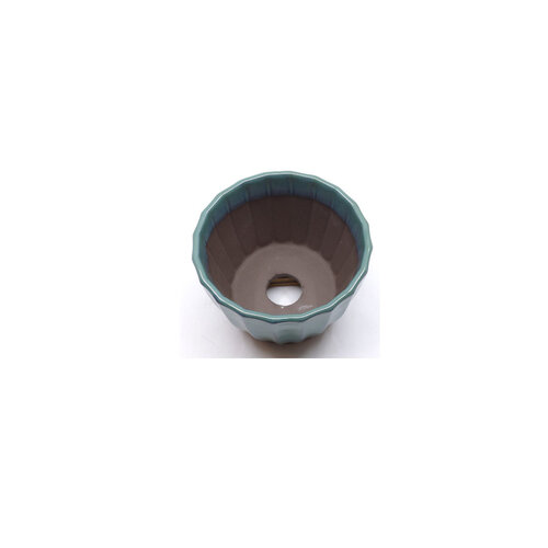 Shohin Bonsai pot groen chrysanten 10cm