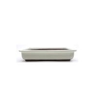 Bonsai pot creme rectangular 28cm