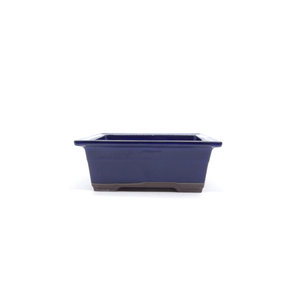 Bonsai pot blauwe rechthoekige 22cm