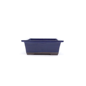 Bonsai pot blue rectangular 22cm
