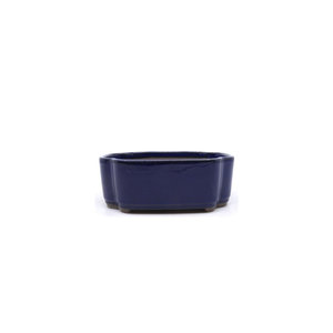 Bonsai pot blue lotus 16cm
