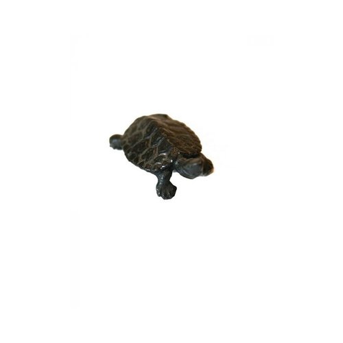 Bonsai Tenpai / Turtle (bronze)
