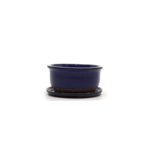 Bonsai pot blauw ovaal 12cm - set