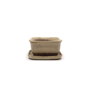 Bonsai pot beige rechthoek 12cm - set