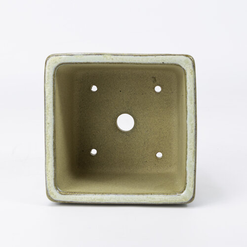 Bonsai pot beige square semi-cascade 13.7cm