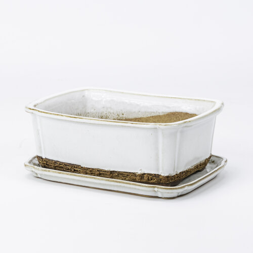 Bonsai pot white rectangle  17.5 cm - set