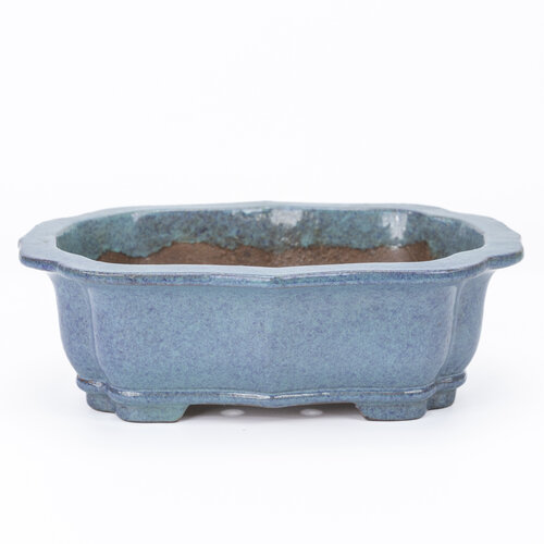 Bonsai pot turquoise lotus 23cm