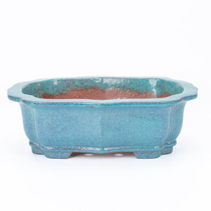 Bonsai pot turquoise lotus 23cm