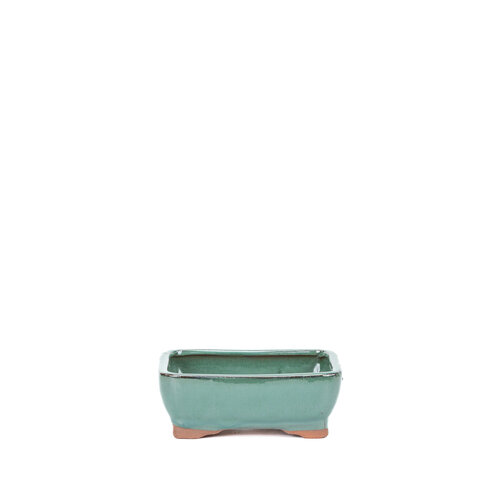Bonsai pot groen rechthoekig 16cm Bonsai pot groen rechthoekig 16cm