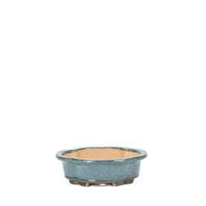 Bonsai pot chrysanthemum blue 20cm