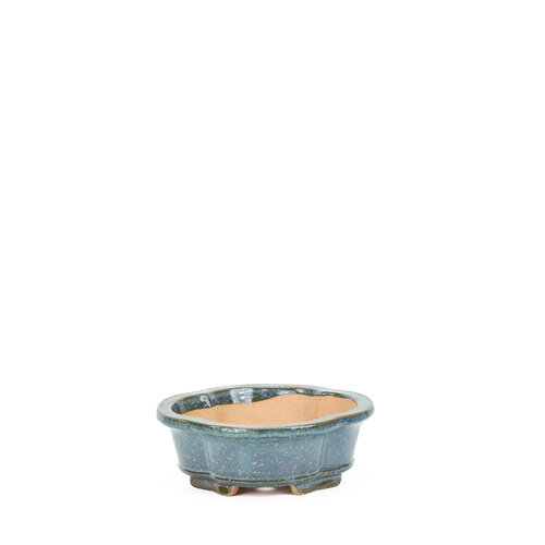 Bonsai pot chrysanthemum blue 20cm Bonsai pot chrysanthemum blue 20cm