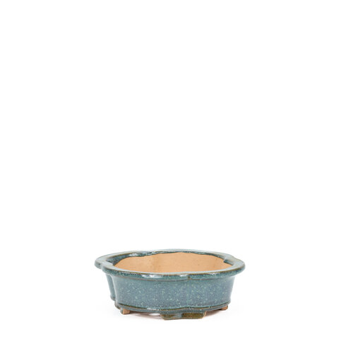 Bonsai pot chrysanthemum blue 20cm Bonsai pot chrysanthemum blue 20cm