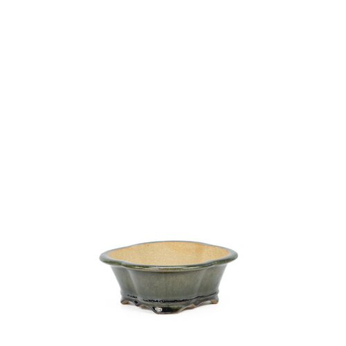 Bonsai pot chrysanten groen zwart 21cm