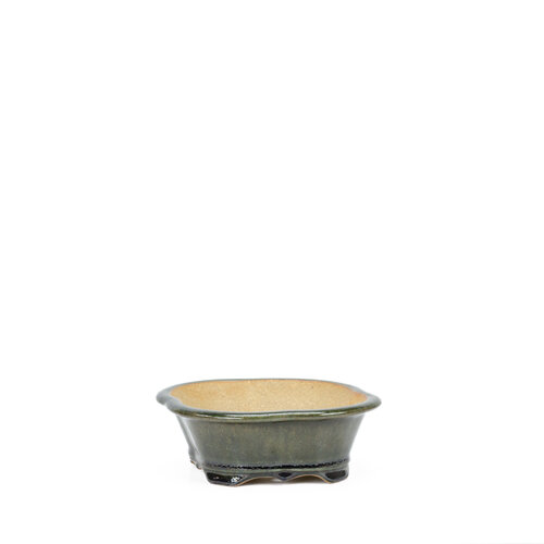 Bonsai pot chrysanten groen zwart 21cm