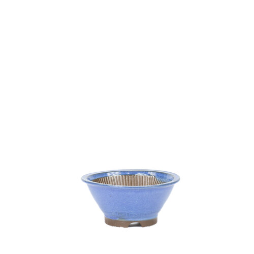Bonsai pot blauw rond 16cm, hoogte 7.4cm Bonsai pot blauw rond 16cm, hoogte 7.4cm